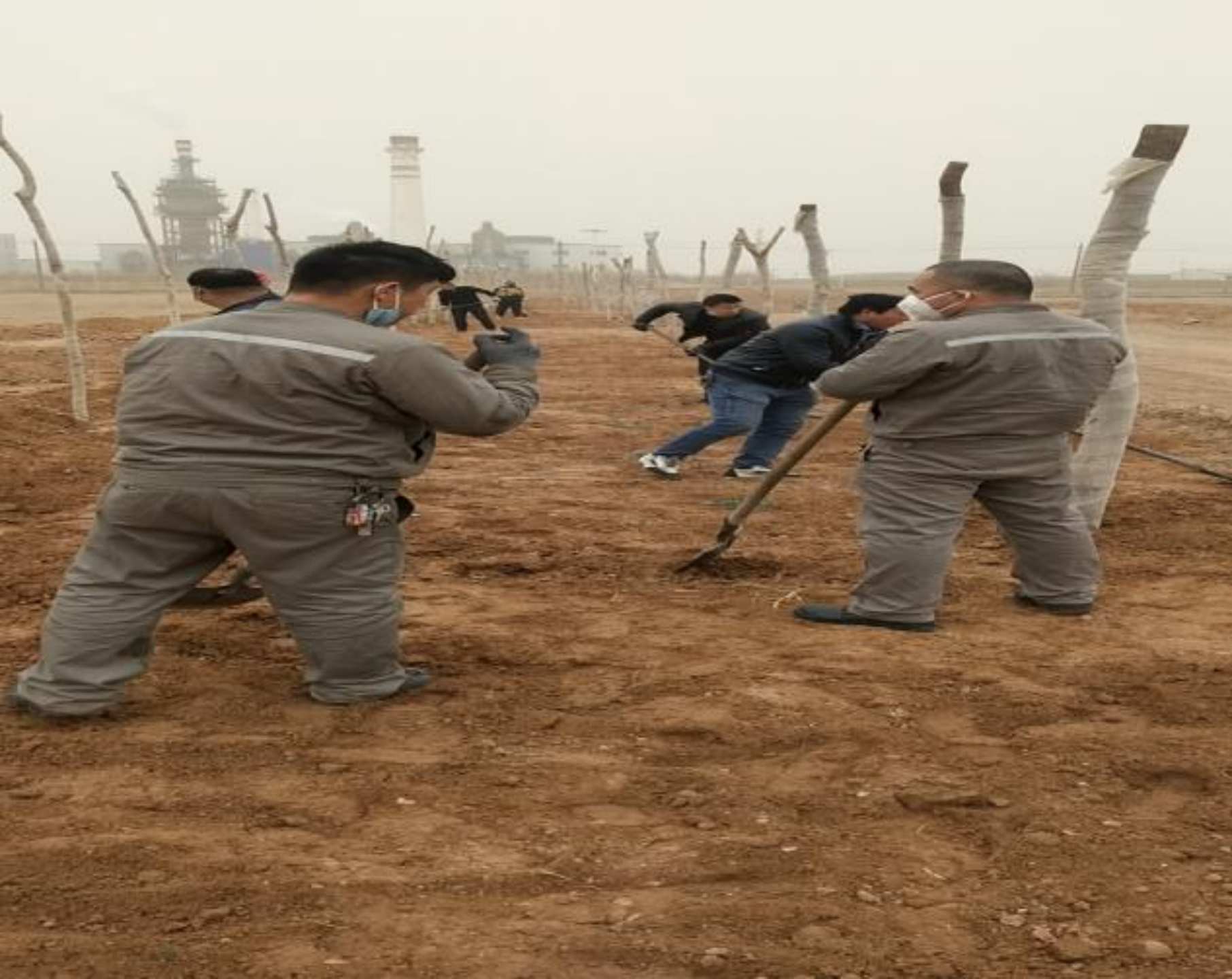 1617271296887793.png 25.png