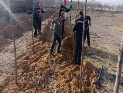 1617271327261407.png 26.png