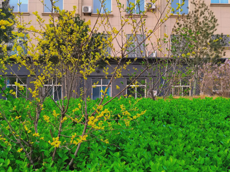 1617272101212679.png 43.png